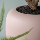 Közeli részlet az ELEMENTAL SPHERE LOW M púderpink fiberglass kaspó matt felületéről