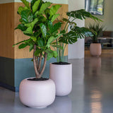 ELEMENTAL SPHERE LOW M púderpink design kaspó nagyméretű szobanövénnyel modern enteriőrben