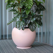 Púderpink ELEMENTAL STREAM design kaspó nagy méretű növénnyel modern enteriőrben