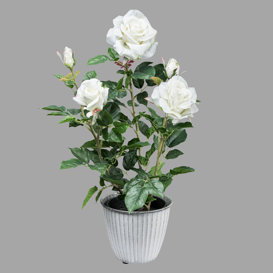 Fehér színű, élethű megjelenésű, mű rózsabokor, fekete műanyag cserépben.