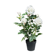Fehér színű, élethű megjelenésű, mű rózsabokor, fekete műanyag cserépben.