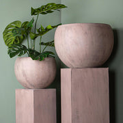 Közelkép az antik hatású homokszínű kaspó szettről növényekkel, zöld fal előtt