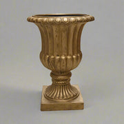 England arany kaspó stúdiófotón, részletes bordázott felülettel