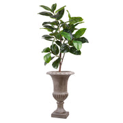 England kaspó növénnyel, elegáns beltéri vagy fedett kültéri elrendezésben