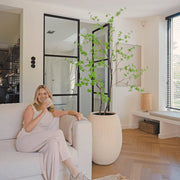 Enkianthus mű csengőbojt fa modern nappaliban kaspóban elhelyezve