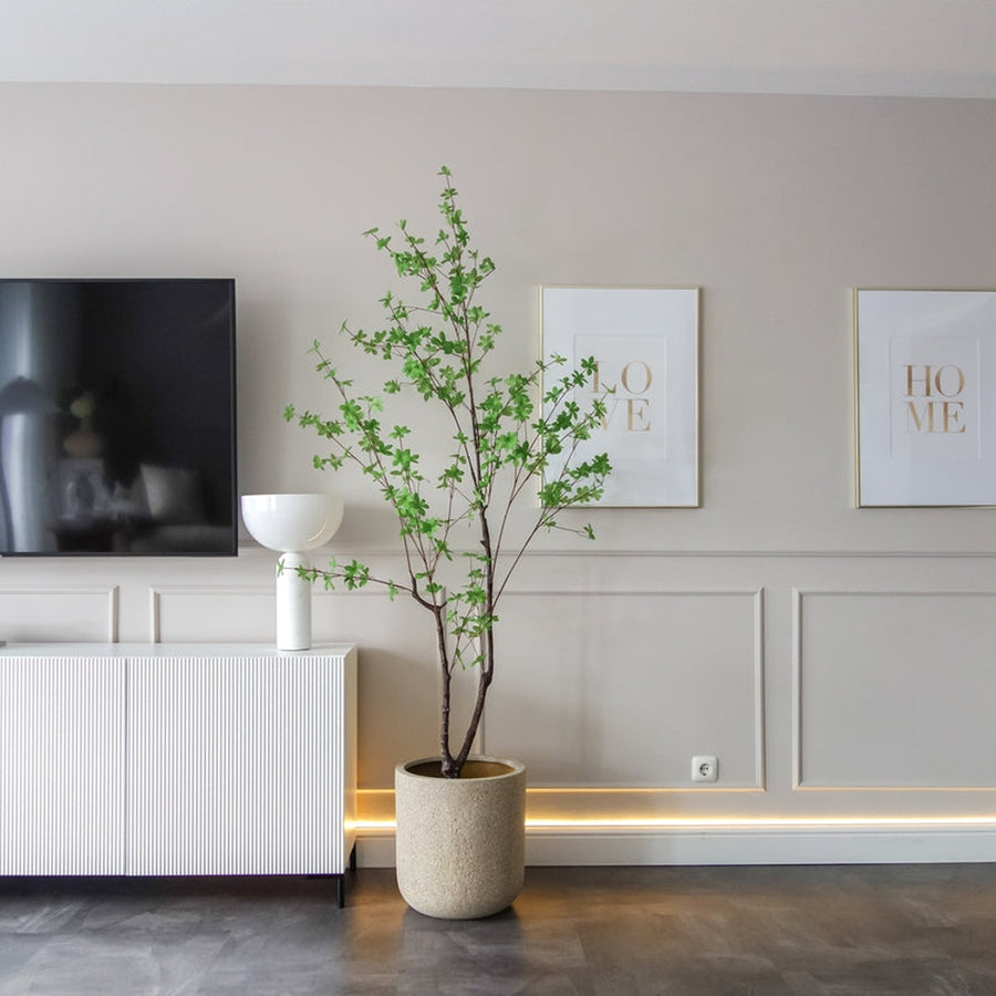 180 cm magas Enkianthus mű fa letisztult enteriőrben TV szekrény mellett