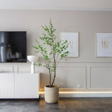 180 cm magas Enkianthus mű fa letisztult enteriőrben TV szekrény mellett