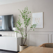 Enkianthus mű növény dekoratív megjelenésben világos fal előtt