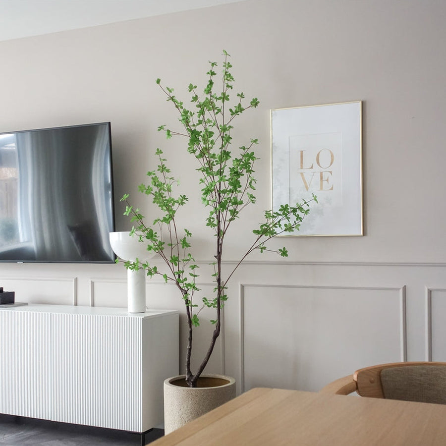 Enkianthus mű növény dekoratív megjelenésben világos fal előtt