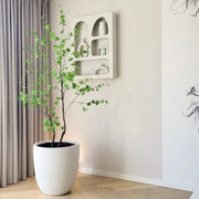 Enkianthus mű csengőbojt fa sarokban elhelyezve minimalista térben