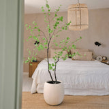 Enkianthus mű fa világos japandi hálószobában kaspóban elhelyezve