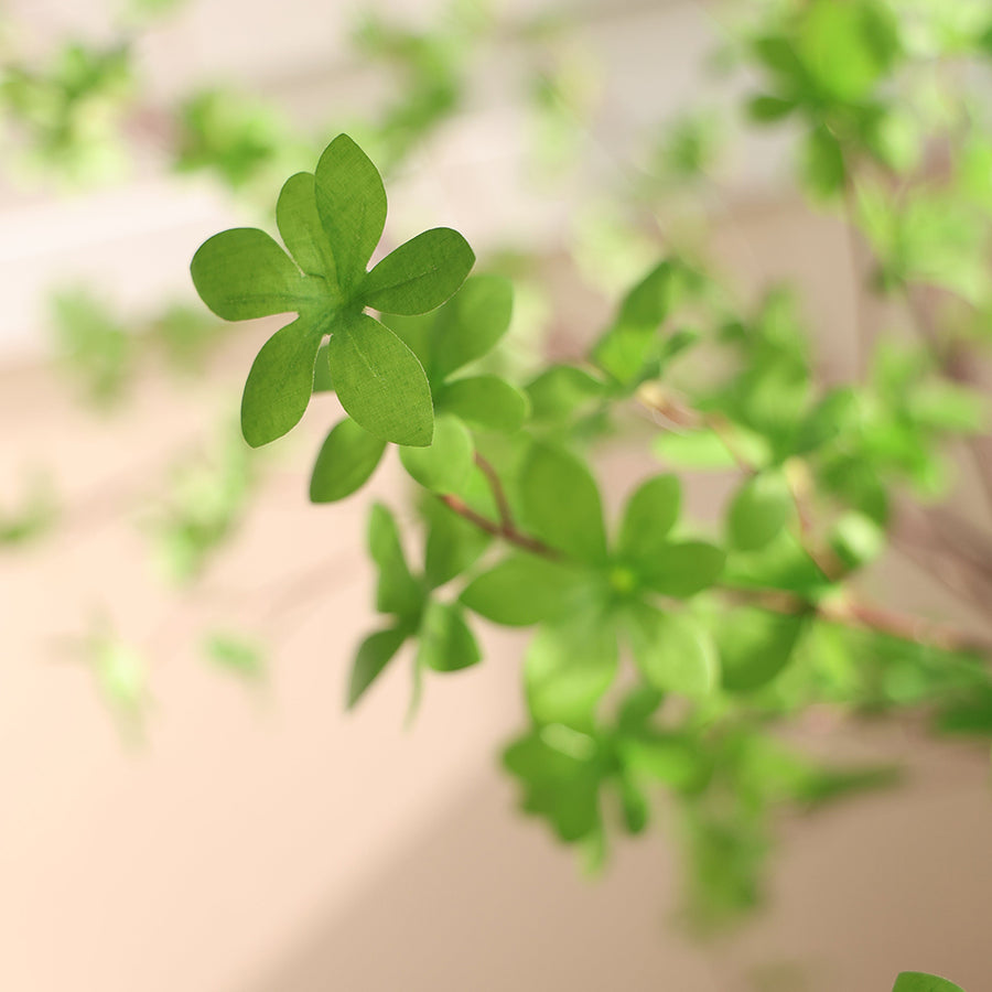 Enkianthus mű csengőbojt fa részlet közeli levél textúra