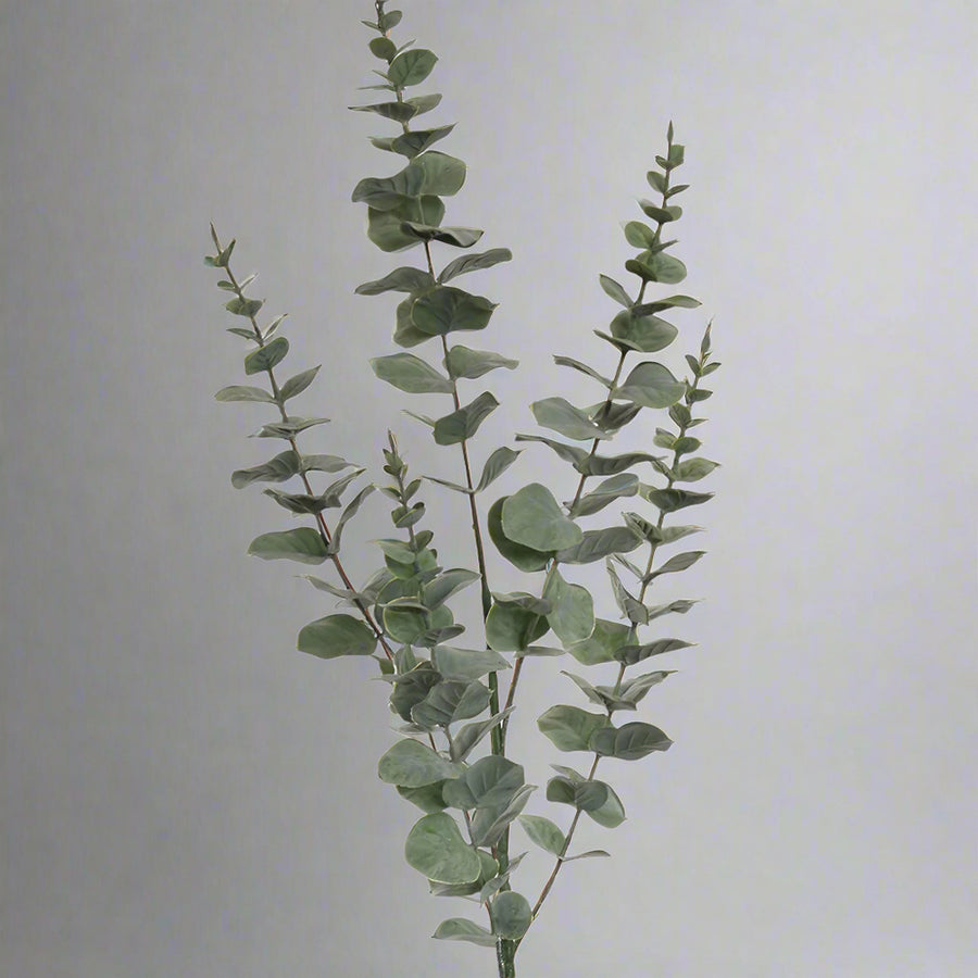 Elegáns, sűrű levélzettel rendelkező mű eukaliptusz ág természetes hatású elrendezésben.