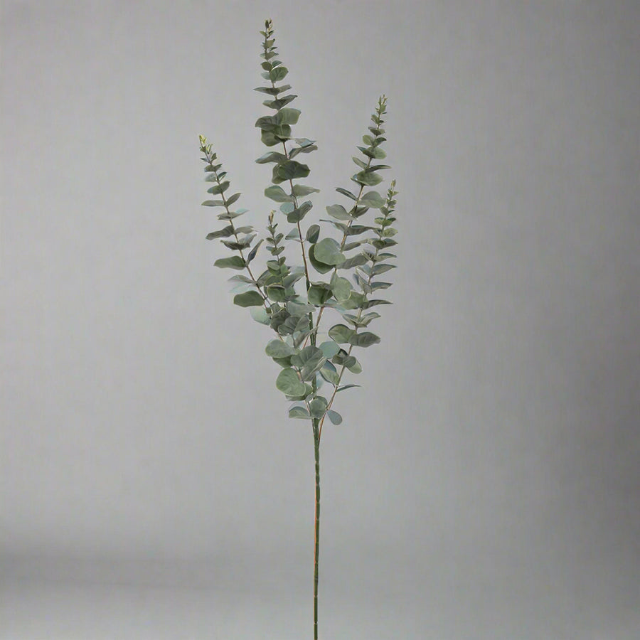 A teljes 95 cm magas mű eukaliptusz ág szürke háttér előtt, álló elrendezésben.