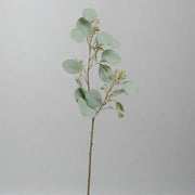 Teljes szürkészöld mű eukaliptusz ág 60 cm, szürke háttérrel.