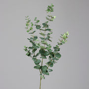 Zöld színű, mű eukaliptusz ág.