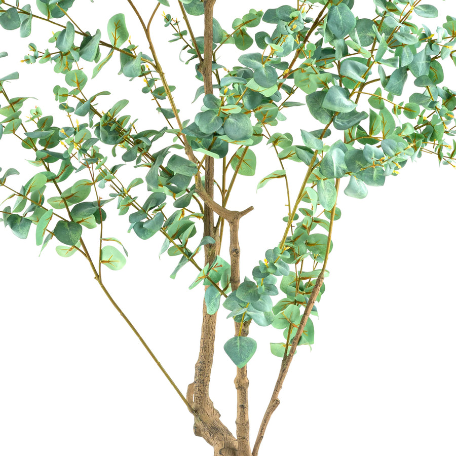 EUCALYPTUS mű eukaliptusz fa természetes hatású többtörzsű kialakítása
