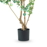 EUCALYPTUS 180 cm mű eukaliptusz fa többtörzsű kialakítása fekete ültetőedényben