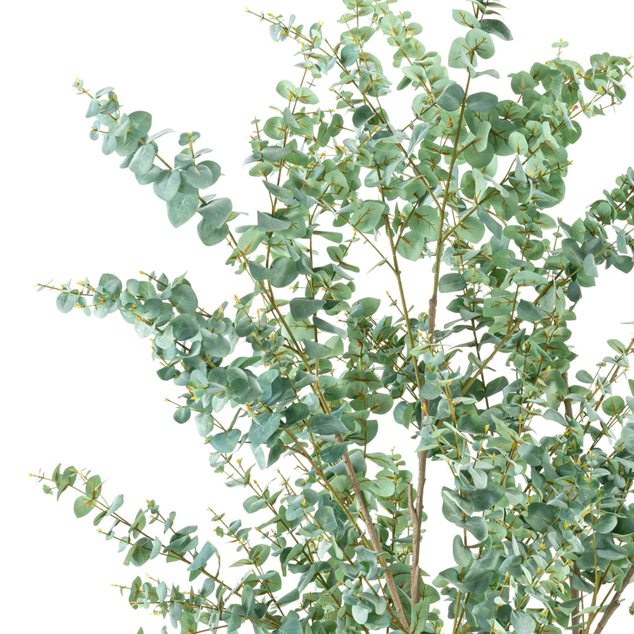 EUCALYPTUS mű eukaliptusz fa természetes hatású szürkészöld levelei közelről