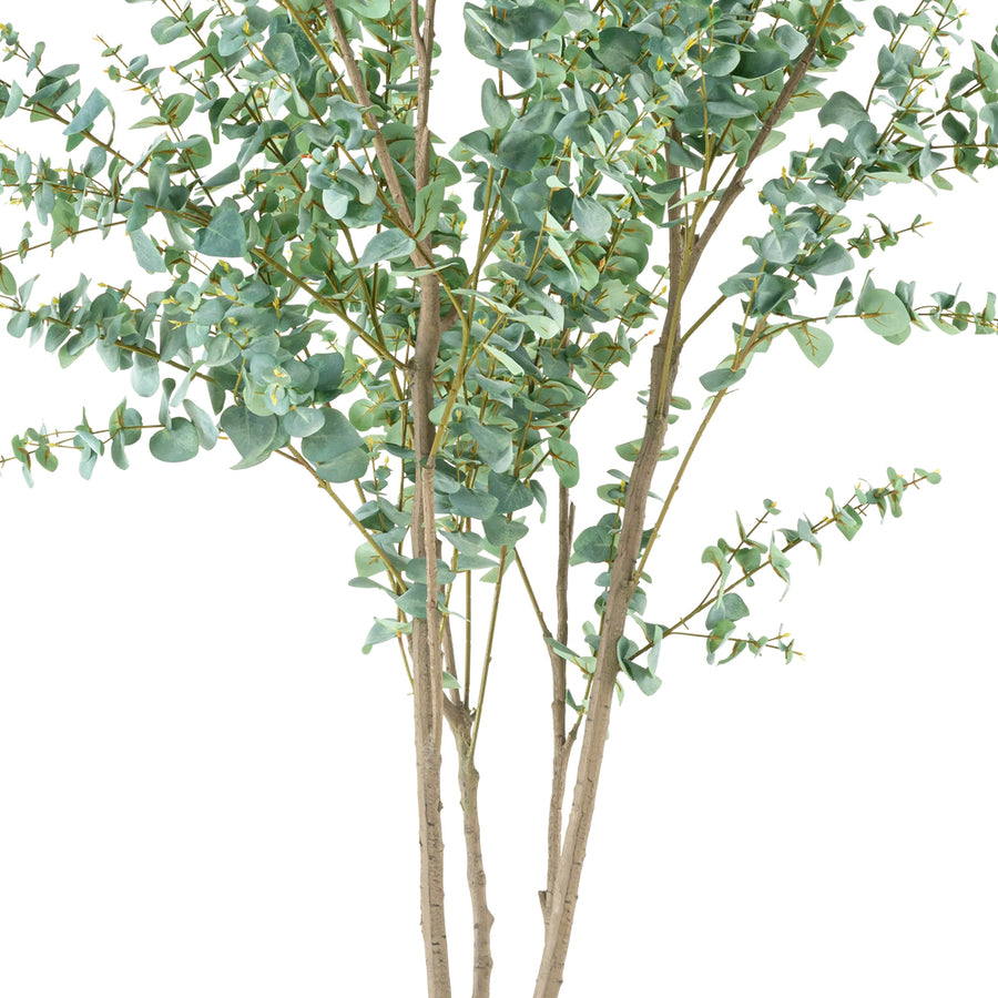 EUCALYPTUS mű eukaliptusz fa természetes hatású többtörzsű kialakítása
