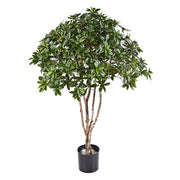 120 cm magas, zöld lombú japán kecskerágó műfa valódi fa törzzsel és fekete kaspóval.