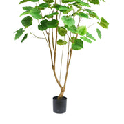 FICUS 180 cm-es mű fikusz fa barnás tónusú, elágazó törzseinek részlete és fekete, hengeres alapja.
