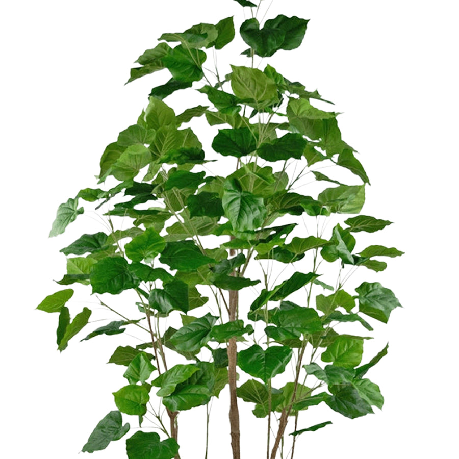 FICUS mű fikusz fa változatos zöld árnyalatú, erezett levelei és természetes fatörzsei közelről.