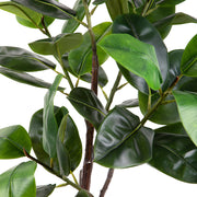 Mű fikusz cserje fekete színű műanyag kaspóban.