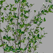 Friss üde zöld lombozatú, mű fikusz cserje műanyag kaspóban.