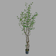 Friss üde zöld lombozatú, mű fikusz cserje műanyag kaspóban.