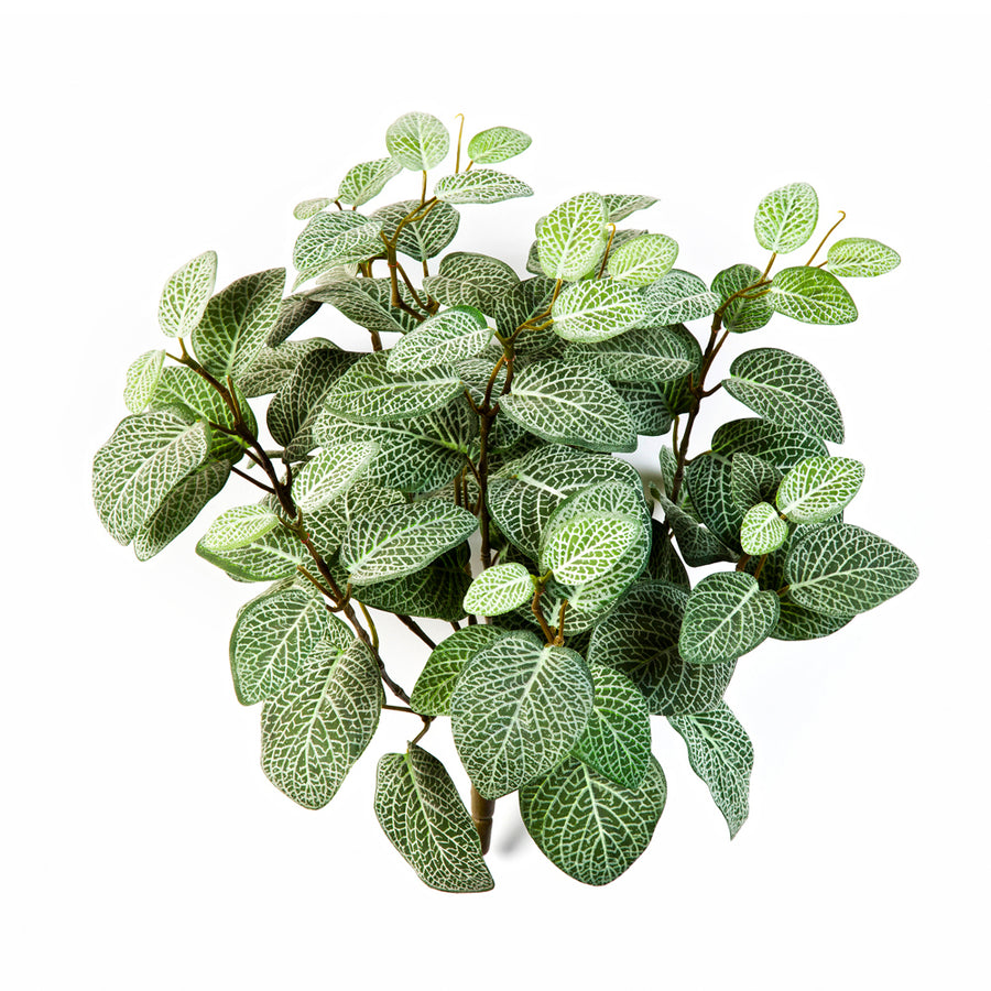 Fittonia zöld mű bokor fehér hálós levelekkel, 25 cm magas élethű növény dekoráció.