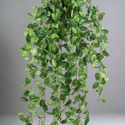 Fittonia műnövény részlet – zöld, fehéren erezett levelek élethű kidolgozással.