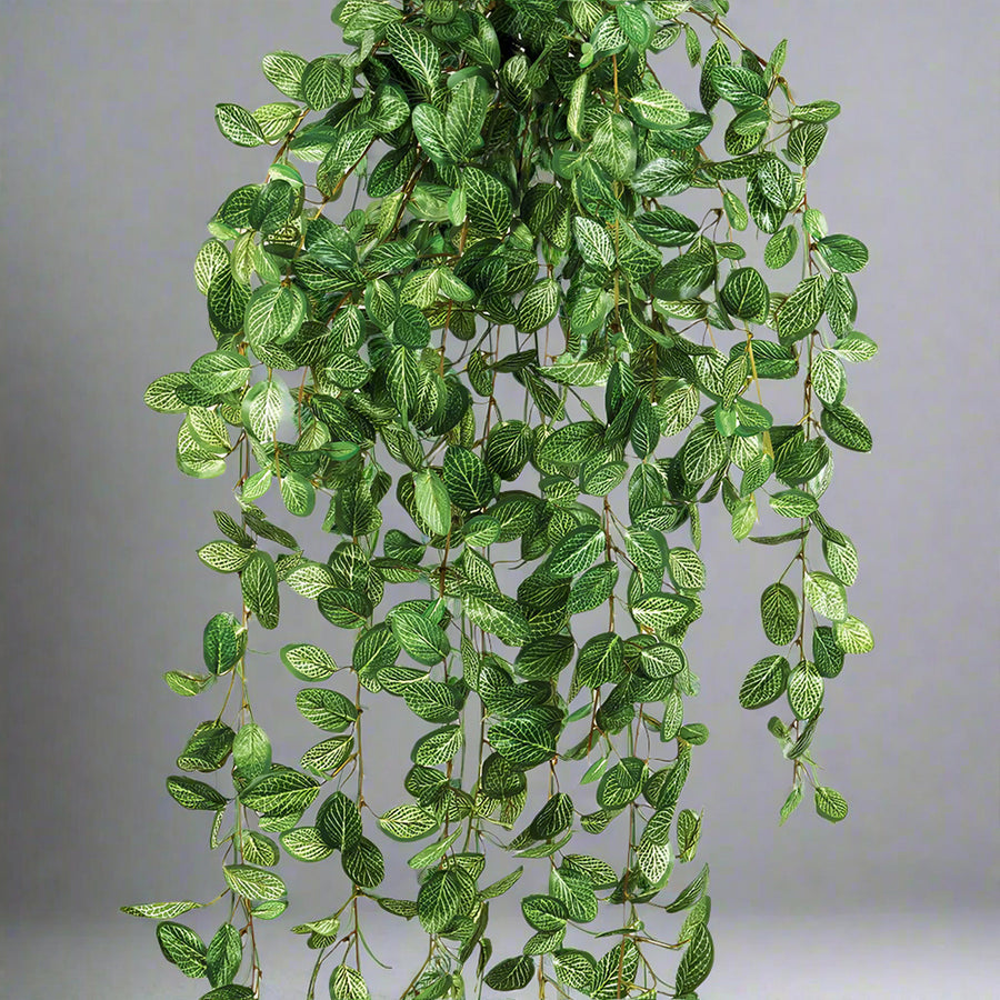 Fittonia műnövény részlet – zöld, fehéren erezett levelek élethű kidolgozással.