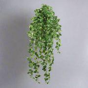 Fittonia csüngő műnövény szemből – természetes hatású, sűrű levélzettel.