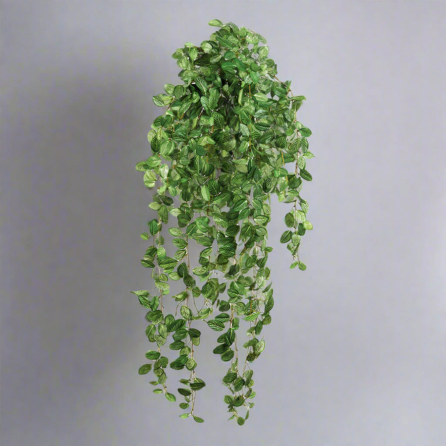 Fittonia csüngő műnövény szemből – természetes hatású, sűrű levélzettel.