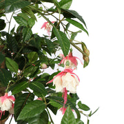 Nyíló és bimbós mű fukszia virágfejek részletfotón.