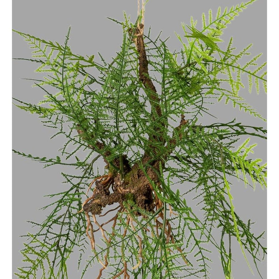 Függeszthető kialakítású, aszparágusz műnövény dekoráció.