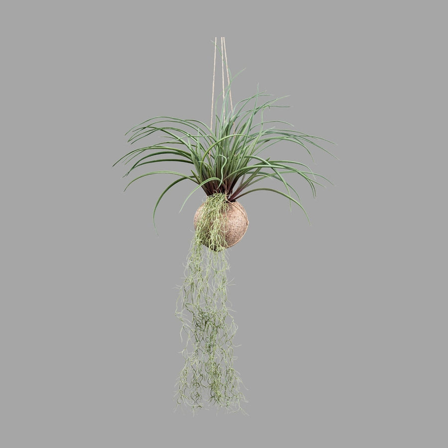 Függeszthető kialakítású, szakállbromélia műnövény dekoráció.