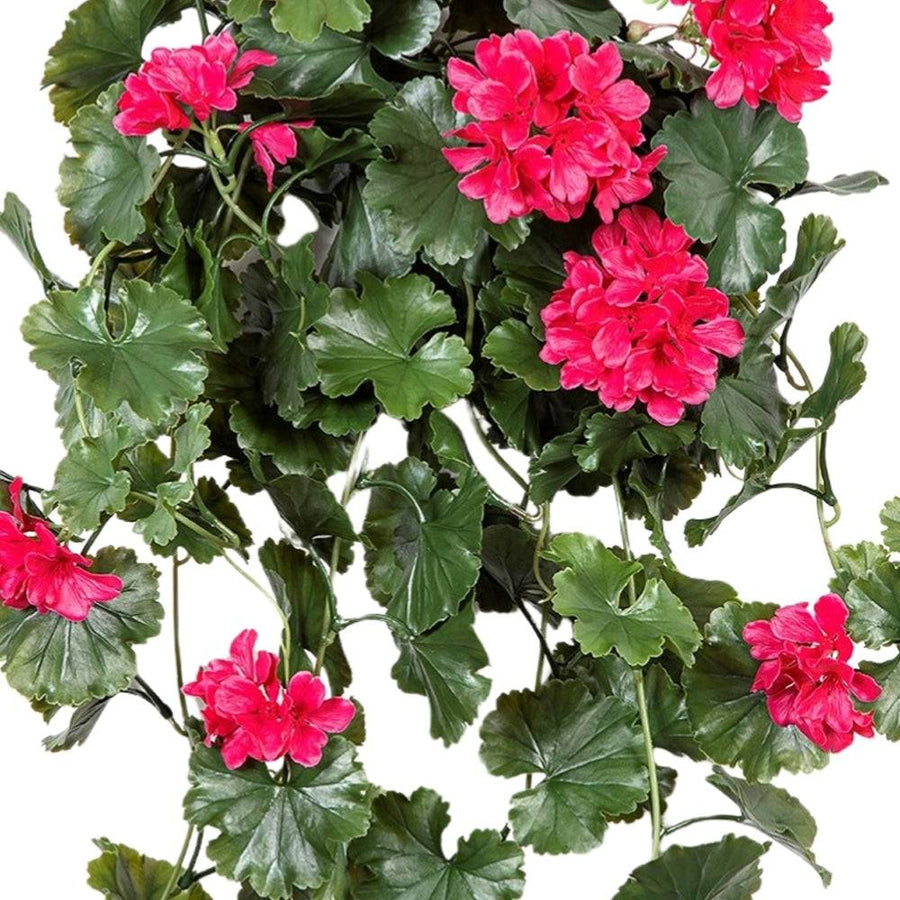 Közelről fotózott pink UV-álló mű muskátli levelei és virágai