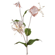 Púderszínű, fényes felületű, koronásliliom művirág.