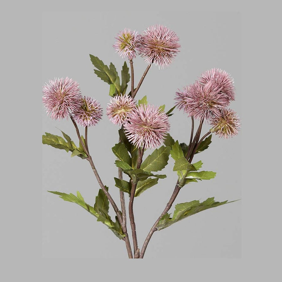 Fáradt rózsaszín színárnyalatú bogáncs művirág.