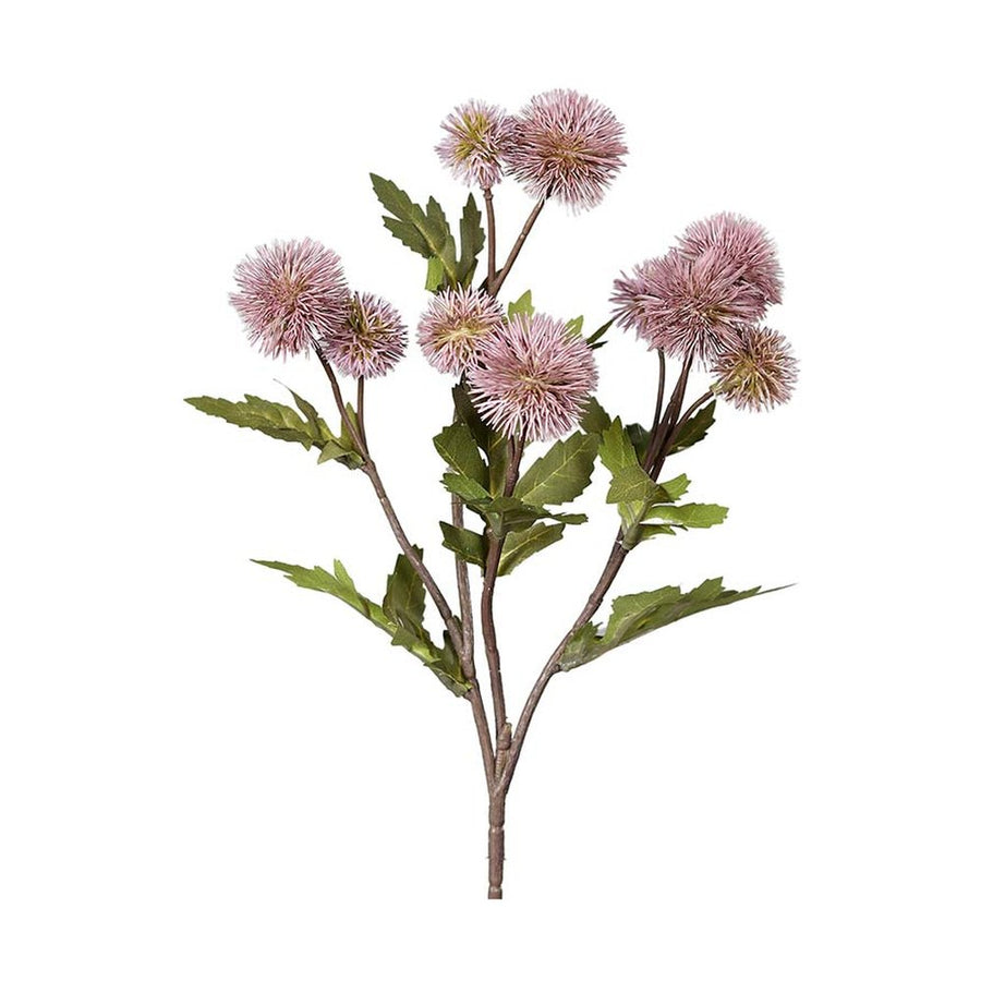 Fáradt rózsaszín színárnyalatú bogáncs művirág.