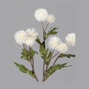 Krém színárnyalatú bogáncs művirág.