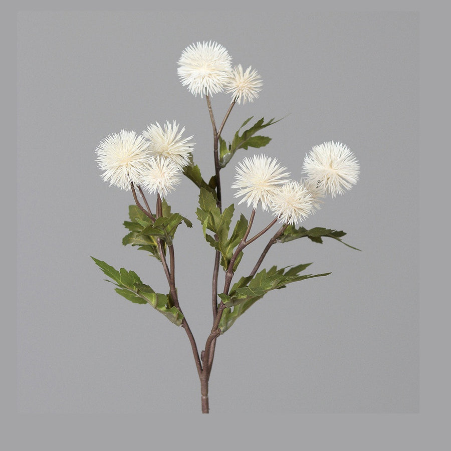 Krém színárnyalatú bogáncs művirág.