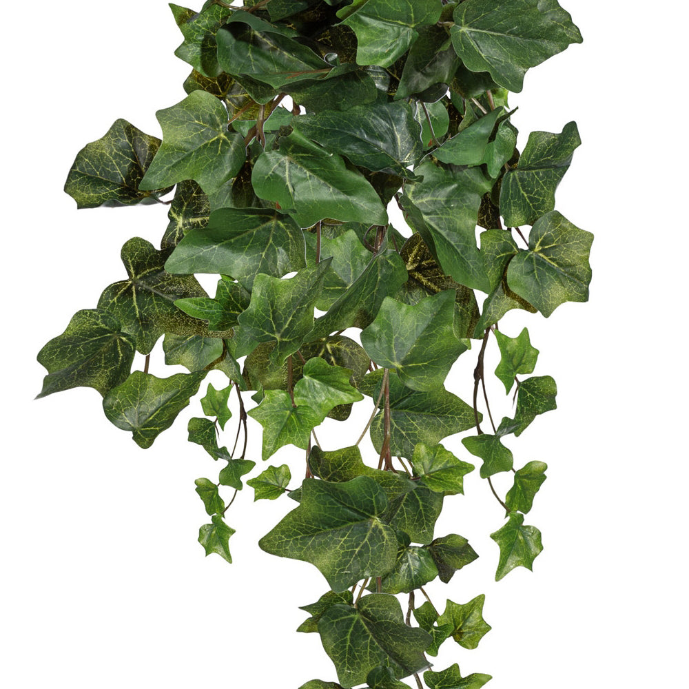 Borostán mű növény közeli képe.