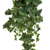 Borostán mű növény közeli képe.