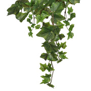 Mű borostyán csüngő leveleinek közeli képe.