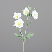 Krémszínű, karácsonyi hunyor művirág.