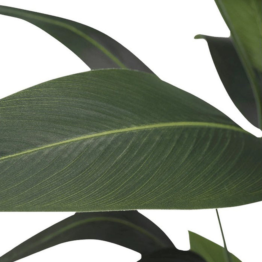 Heliconia mű növény leveleinek közelről fotózott részlete, realisztikus textúrával és árnyalatokkal