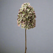 Teljes hosszúságában látható fáradt mályva hortenzia ág világosszürke háttér előtt